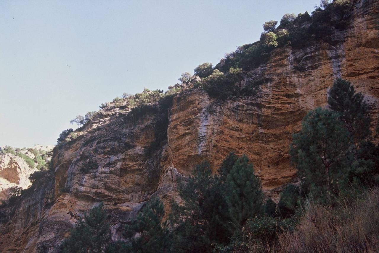 Casas Rurales Mirador Del Mundo 耶斯特 外观 照片