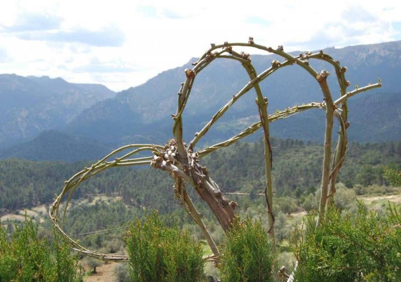 Casas Rurales Mirador Del Mundo 耶斯特 外观 照片