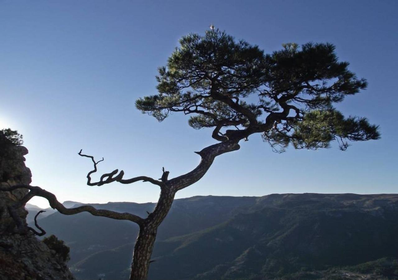 Casas Rurales Mirador Del Mundo 耶斯特 外观 照片